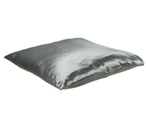 Kussen zilver 50x50cm