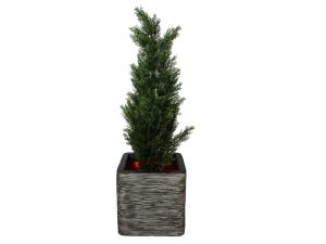 Conifeer in pot 120cm - kunst