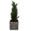Conifeer in pot 120cm - kunst