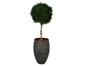 Buxusbol op stam 140cm - kunst