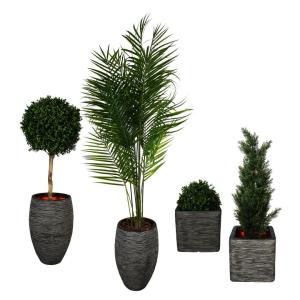 Plantenarrangement