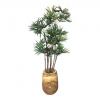 Baby fan in houten pot - kunst