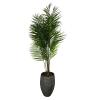 Palm Areca in houten pot - kunst