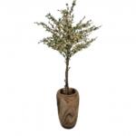 Bloesemboom in houten pot – kunst