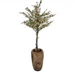 Bloesemboom in houten pot – kunst