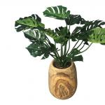 Montsera in houten pot – kunst