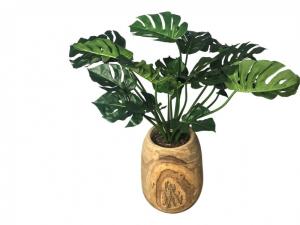 Montsera in houten pot - kunst