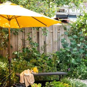 Parasols